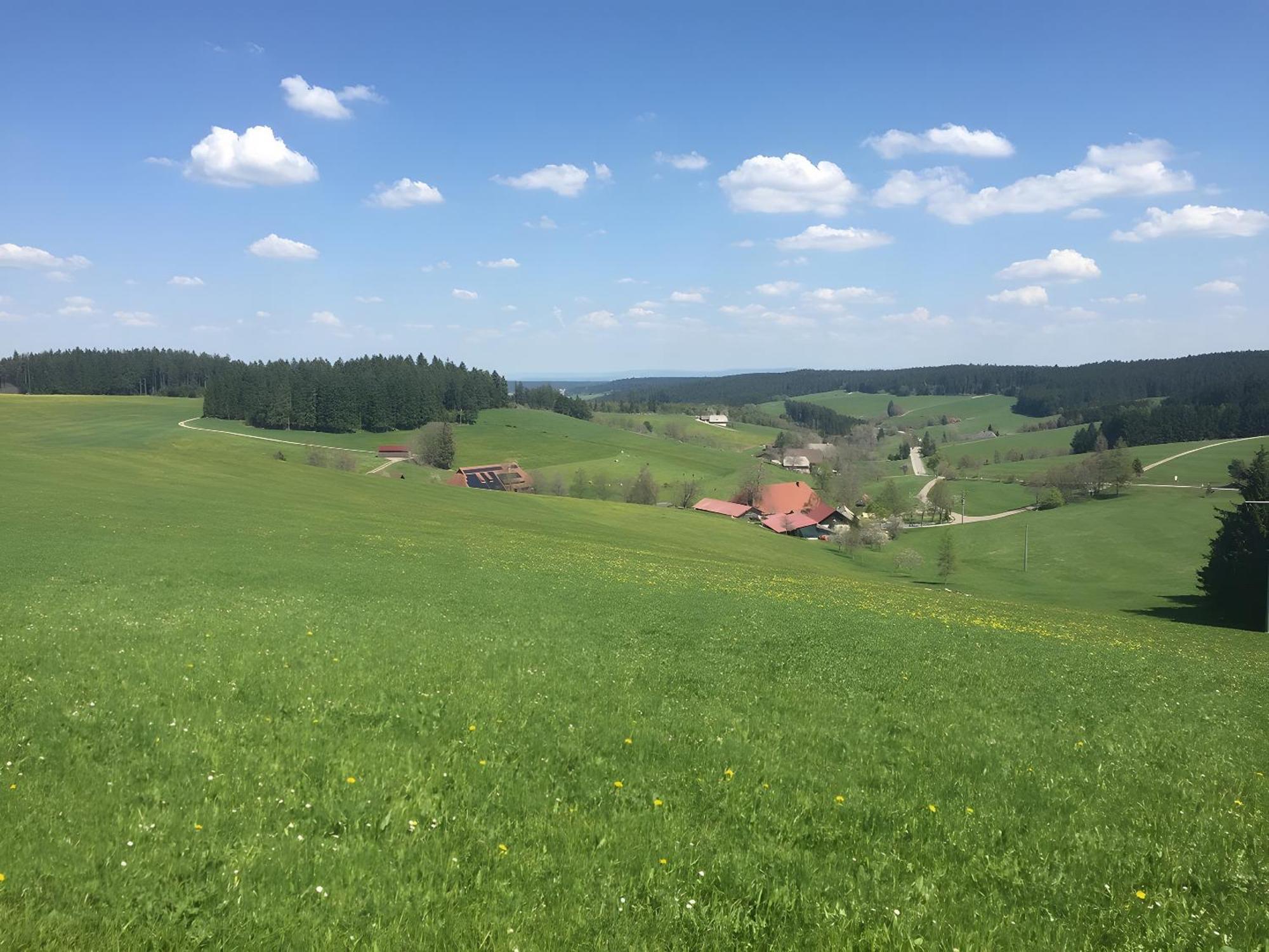 Blackforest Ferienwohnung St. Georgen Exterior foto