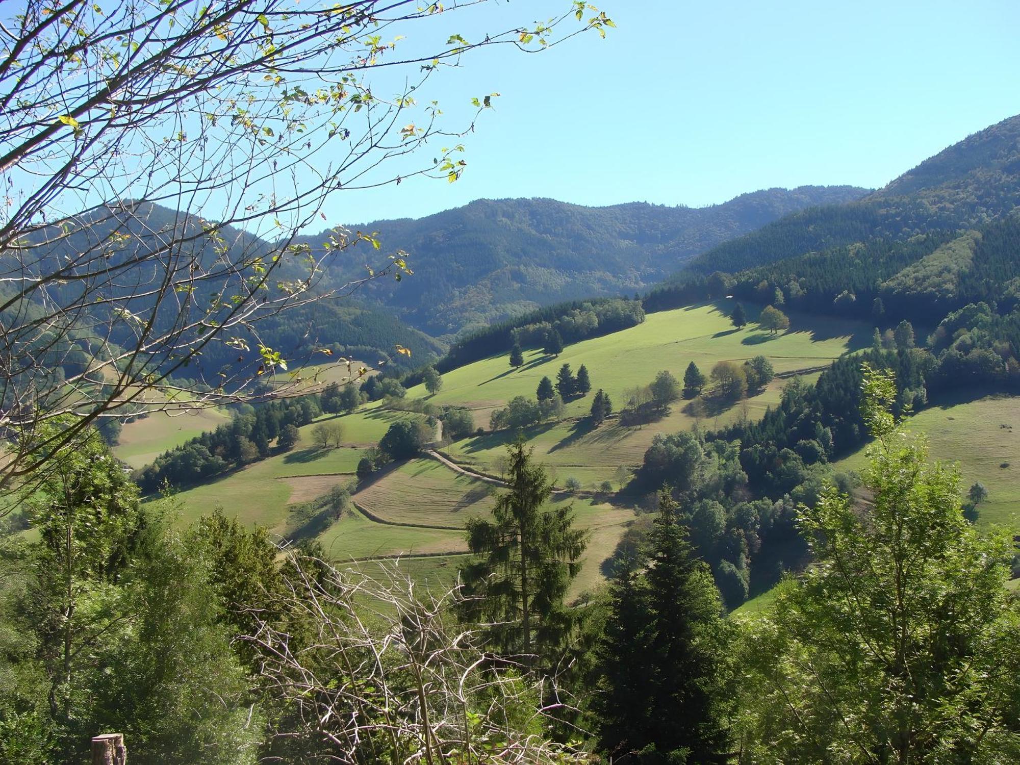 Blackforest Ferienwohnung St. Georgen Exterior foto